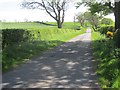 Road near Busbie Mains