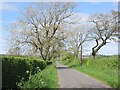 Road near Busbie Mains