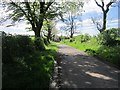 Road south of Busbie Mains