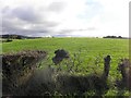 A low hill, Drumlegagh