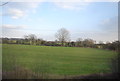 Field near Bolton Farm
