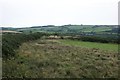 Rough pasture near Upper Eweston