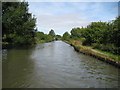 Grand Union Canal: Reach in Soulbury