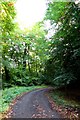 Track through Pound Wood