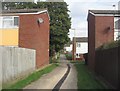 Path between the houses