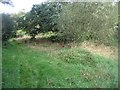 Popley Ponds Local Nature Reserve