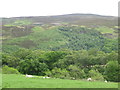 Farmland above the wooded valleys of Penchford and Grasslees Burns