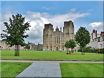 ST5545 : The magnificent West front of Wells Cathedral by Derek Voller