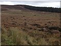 NH5687 : Moorland and forestry on Gledfield Estate by Steven Brown