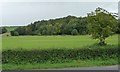 Farmland between the River Usk and Nant Olway