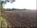 Newly cultivated field, Tarrylaw