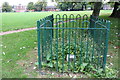 Fundamental Bench Mark enclosure in Salisbury Field