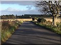 Road near Wester Arboll