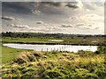 Pond at Kingsway Business Park Site