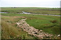 Wetland around the Burn of Voy