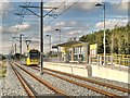 Tram Approaching Kingsway Park