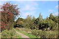 Footpath on Dismantled Railway, Dirrans, Kilwinning