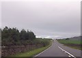 Long straight near Llwyn Mafon Isaf entrance