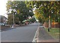 View along Salisbury Road