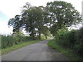 SP3341 : Hedgerow trees, Whatcote Road by Robin Stott