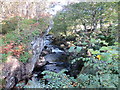 Ormsary Water looking upstream from the bridge