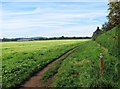 Bridleway at edge of field, Spennells, Kidderminster