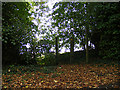 Footpath off Church Lane