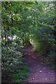 Public footpath to Stanklyn Lane, near Spennells, Kidderminster