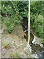 Cwm Llanfair brook