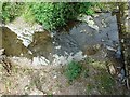 Looking down into Cwm Llanfair brook