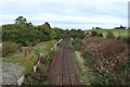 Railway Line at Drybridge