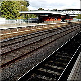 SJ6511 : Platform 1 at Wellington railway station by Jaggery