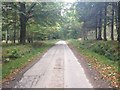 Road through Brahan Estate