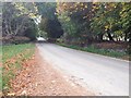 Road near Lemlair