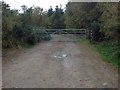 Gated forestry track into Harriet Plantation