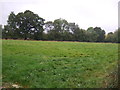 Farmland off Irnham Road