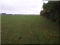 Farmland, Southview Farm