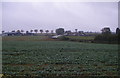 Crop field, Laughton