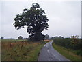 Minor road heading west of the A15