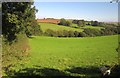 Farmland north of Landrake