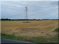 Pylon and farmland from Wyke Lane