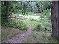 Approach to a pond on Hayes Common