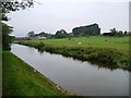 Horses on north bank, Kennet & Avon canal