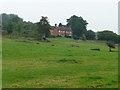 Paddocks east of Brimslade Farm