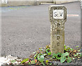 J1049 : Fire hydrant marker, Laurencetown by Albert Bridge