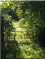 Gate near Foxhole Wood