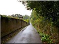 Cicely Haughton School back road