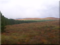 NC5521 : Forest edge on Cnoc na Doire north of Lairg by ian shiell