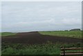 Ploughed field north of the B15 at Ballintoy