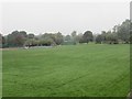 Recreation Ground - Heathy Lane